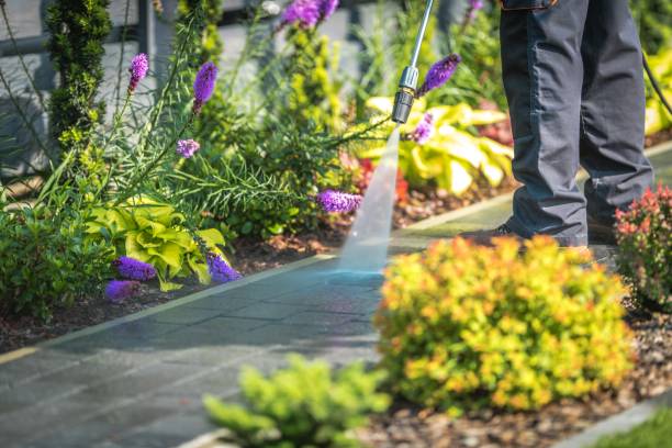 Best Dumpster Area Cleaning  in La Vista, NE