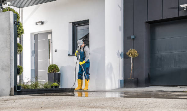 Best Gutter Cleaning  in La Vista, NE